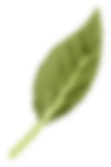 leaf-1.png